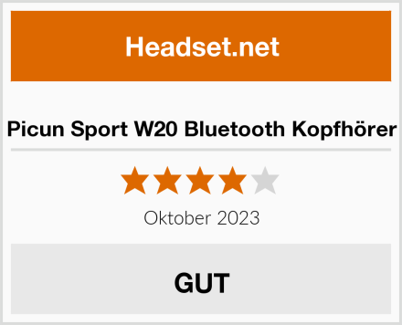 Picun Sport W20 Bluetooth Kopfhörer Test