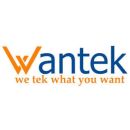 Wantek Logo